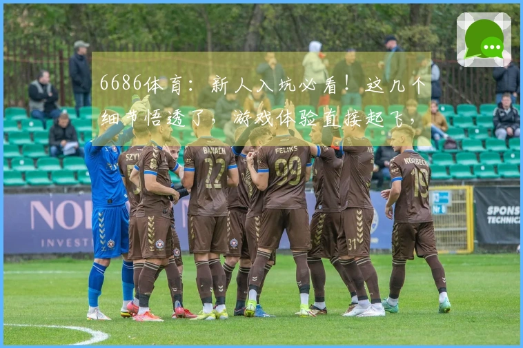 6686体育：新人入坑必看！这几个细节悟透了，游戏体验直接起飞，经验分享！