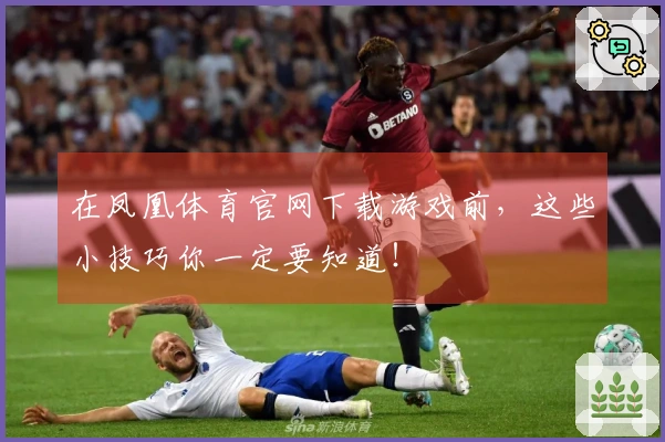 在凤凰体育官网下载游戏前，这些小技巧你一定要知道！