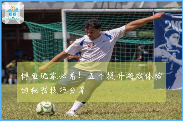博鱼玩家必看！五个提升游戏体验的秘密技巧分享