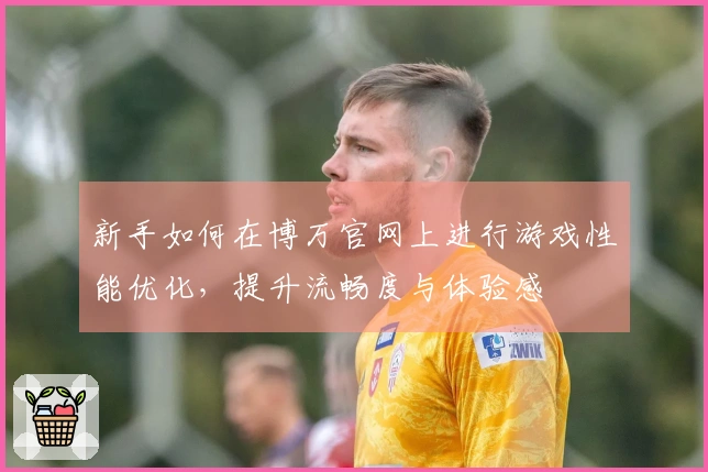 新手如何在博万官网上进行游戏性能优化，提升流畅度与体验感