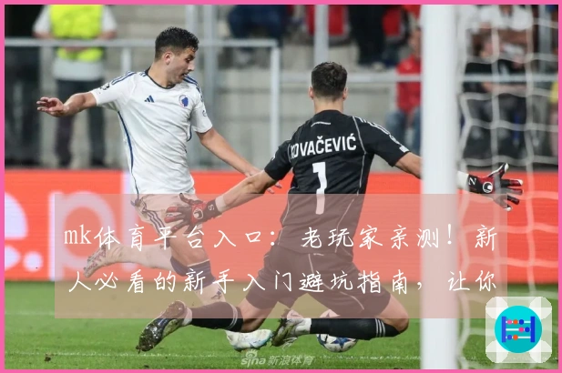 mk体育平台入口：老玩家亲测！新人必看的新手入门避坑指南，让你少走弯路少花钱