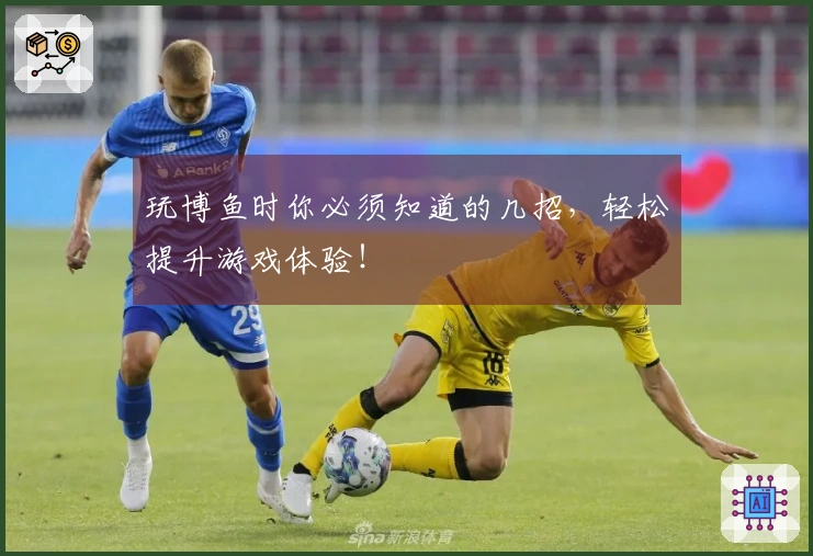 玩博鱼时你必须知道的几招，轻松提升游戏体验！