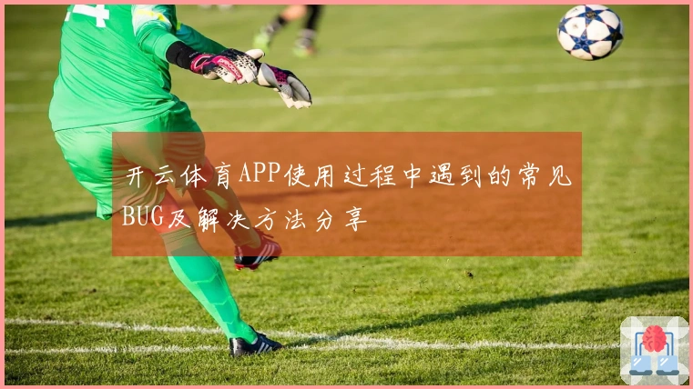 开云体育APP使用过程中遇到的常见BUG及解决方法分享